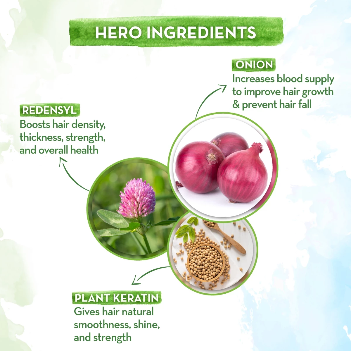 Hair Fall Control Kit, 650 ml (Combo)-4.webp